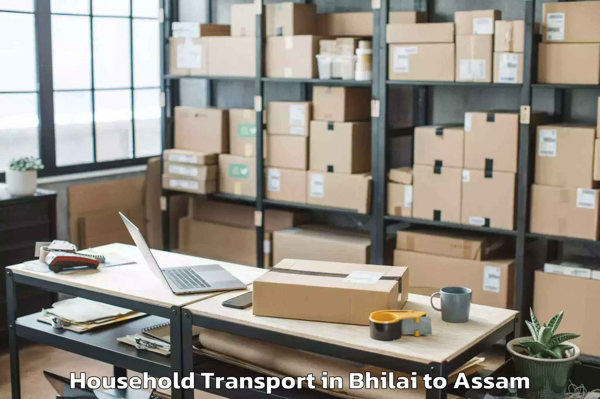 Professional Bhilai to Dergaon Household Transport